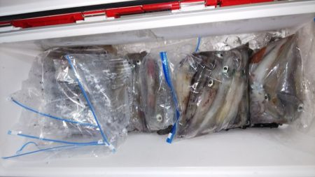 第二龍勢丸 釣果