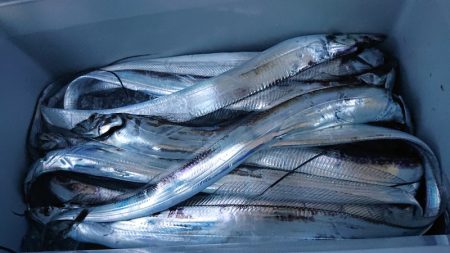 シースナイパー海龍 釣果