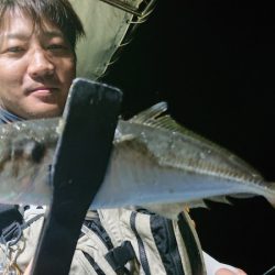 シースナイパー海龍 釣果
