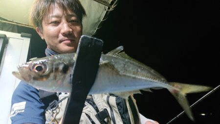 シースナイパー海龍 釣果