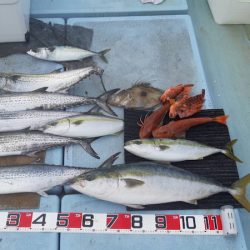 清和丸 釣果