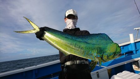 第三共栄丸 釣果