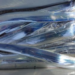 シースナイパー海龍 釣果