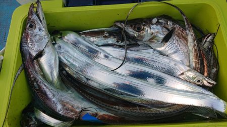 シースナイパー海龍 釣果