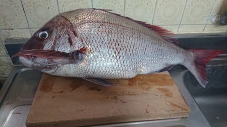 第二ゆず丸 釣果