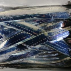 シースナイパー海龍 釣果