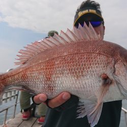 シースナイパー海龍 釣果