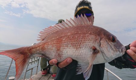 シースナイパー海龍 釣果