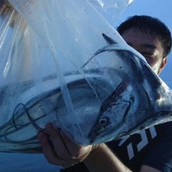 シースナイパー海龍 釣果