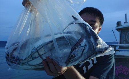 シースナイパー海龍 釣果