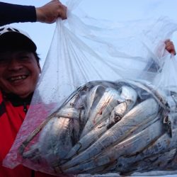 シースナイパー海龍 釣果