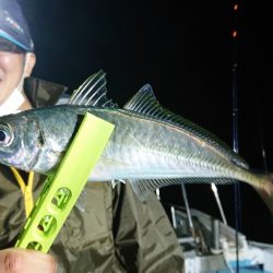 シースナイパー海龍 釣果