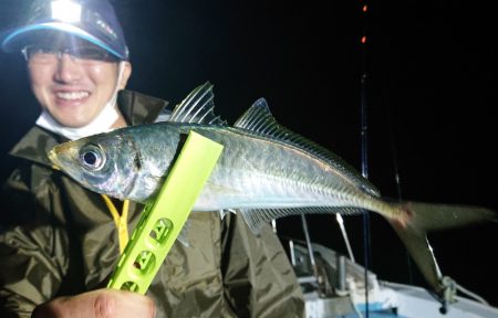 シースナイパー海龍 釣果