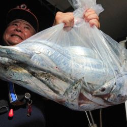 シースナイパー海龍 釣果