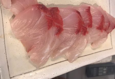 龍神丸(鹿児島) 釣果