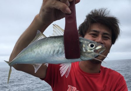 渡船屋たにぐち 釣果