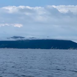 あみや渡船 JIGBOY 釣果
