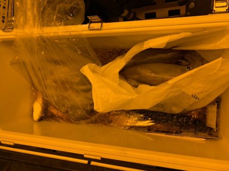 海龍丸（石川） 釣果