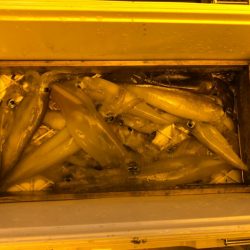 海龍丸（石川） 釣果