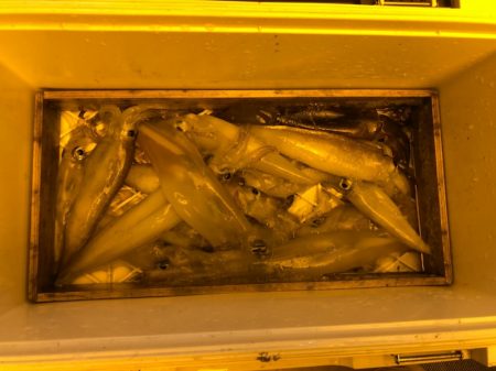 海龍丸（石川） 釣果