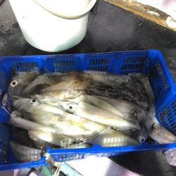 海龍丸（石川） 釣果