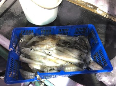 海龍丸（石川） 釣果