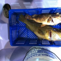 海龍丸（石川） 釣果