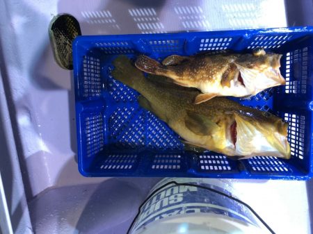 海龍丸（石川） 釣果