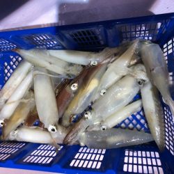 海龍丸（石川） 釣果