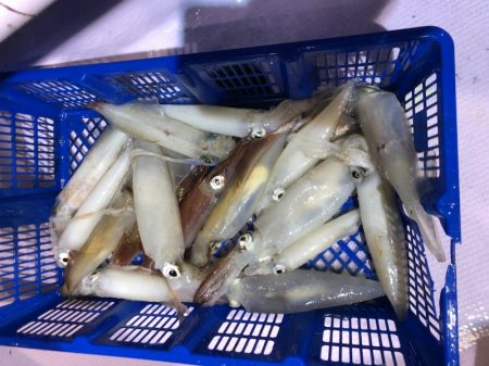 海龍丸（石川） 釣果