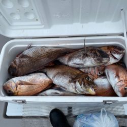 遊漁船ブルーウッズ 釣果