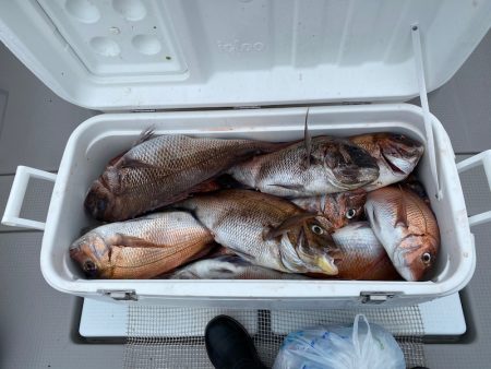 遊漁船ブルーウッズ 釣果