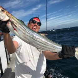 ランスルー 釣果