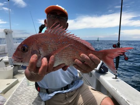 ランスルー 釣果