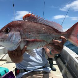 ランスルー 釣果
