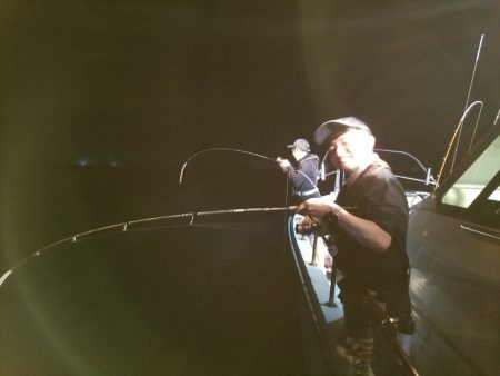 アマテラス 釣果