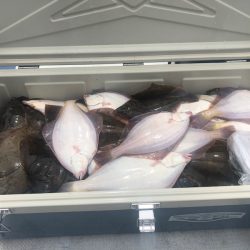 第二 つれたか丸 釣果