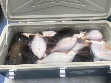 第二 つれたか丸 釣果