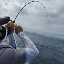 シーライオン 釣果