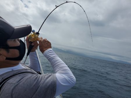 シーライオン 釣果