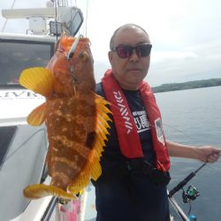 きずなまりん 釣果