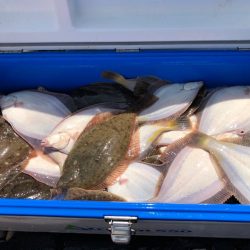 第二　つれたか丸 釣果