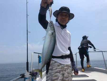 Chase（チェイス） 釣果