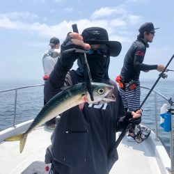 Chase（チェイス） 釣果