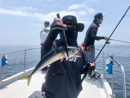 Chase（チェイス） 釣果