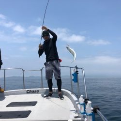 Chase（チェイス） 釣果