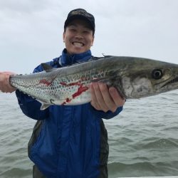 ランスルー 釣果