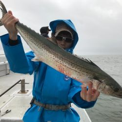 ランスルー 釣果