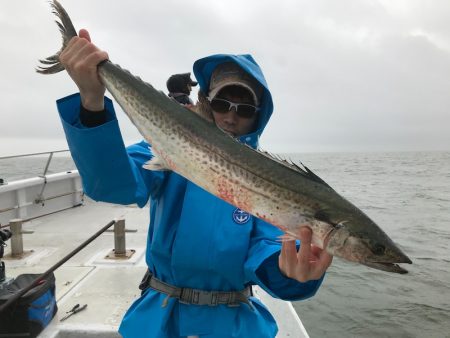 ランスルー 釣果