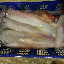 海龍丸（石川） 釣果